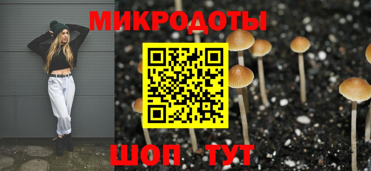 Похвистнево  купить   Вход с VPN  Псилоцибиновые грибы MAGIC MUSHROOMS  Псилоцибиновые грибы ЛСД 